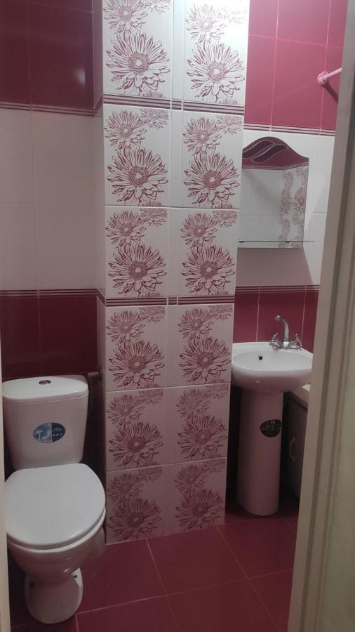 2-Х Комнатная Квартира Korosten Ngoại thất bức ảnh